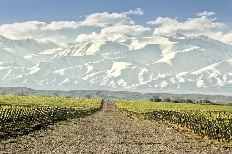 Paisaje de Mendoza, viñedos y montaña — Edmar Travel
