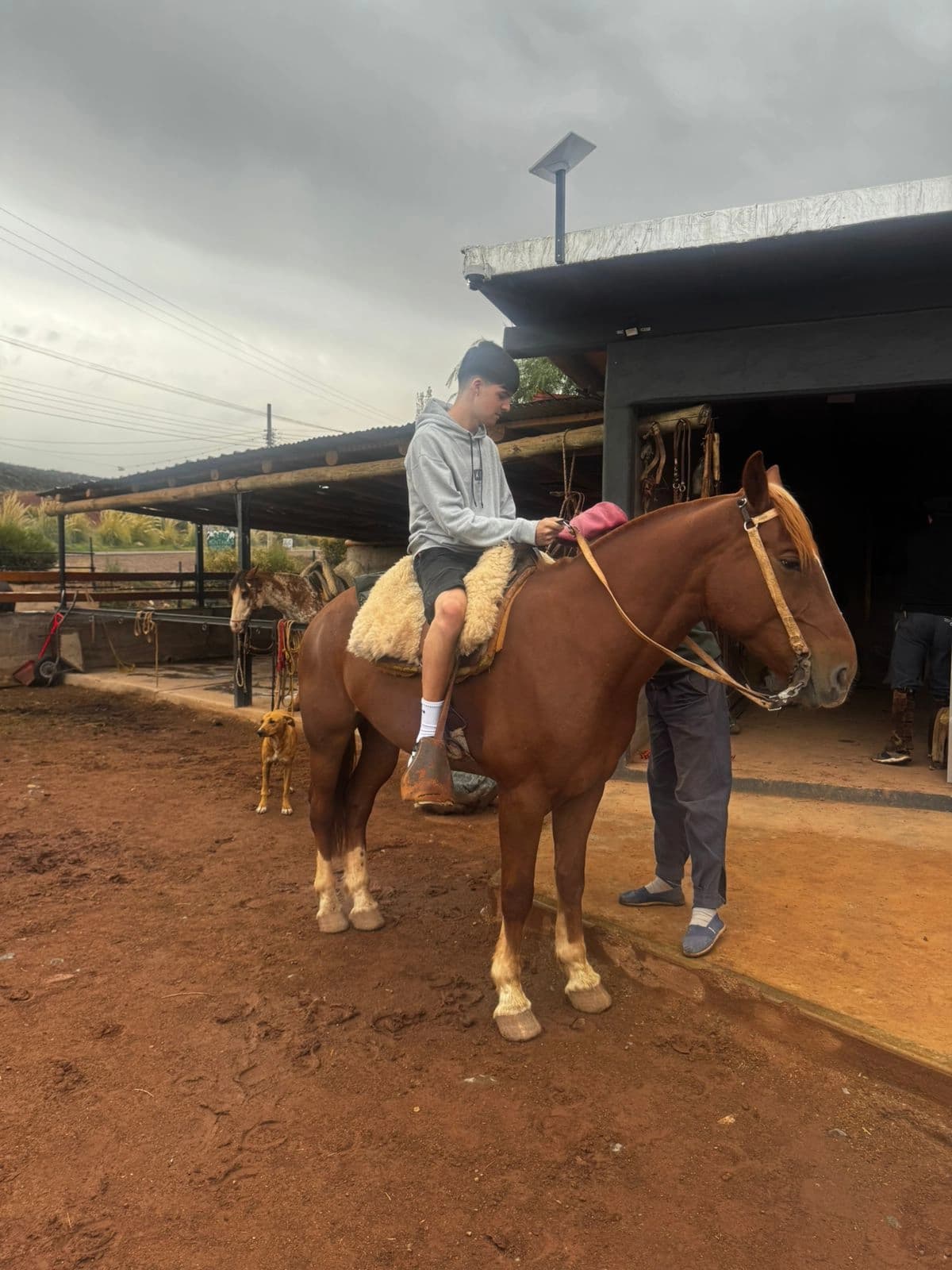 Cabalgata + Picada – Potrerillos