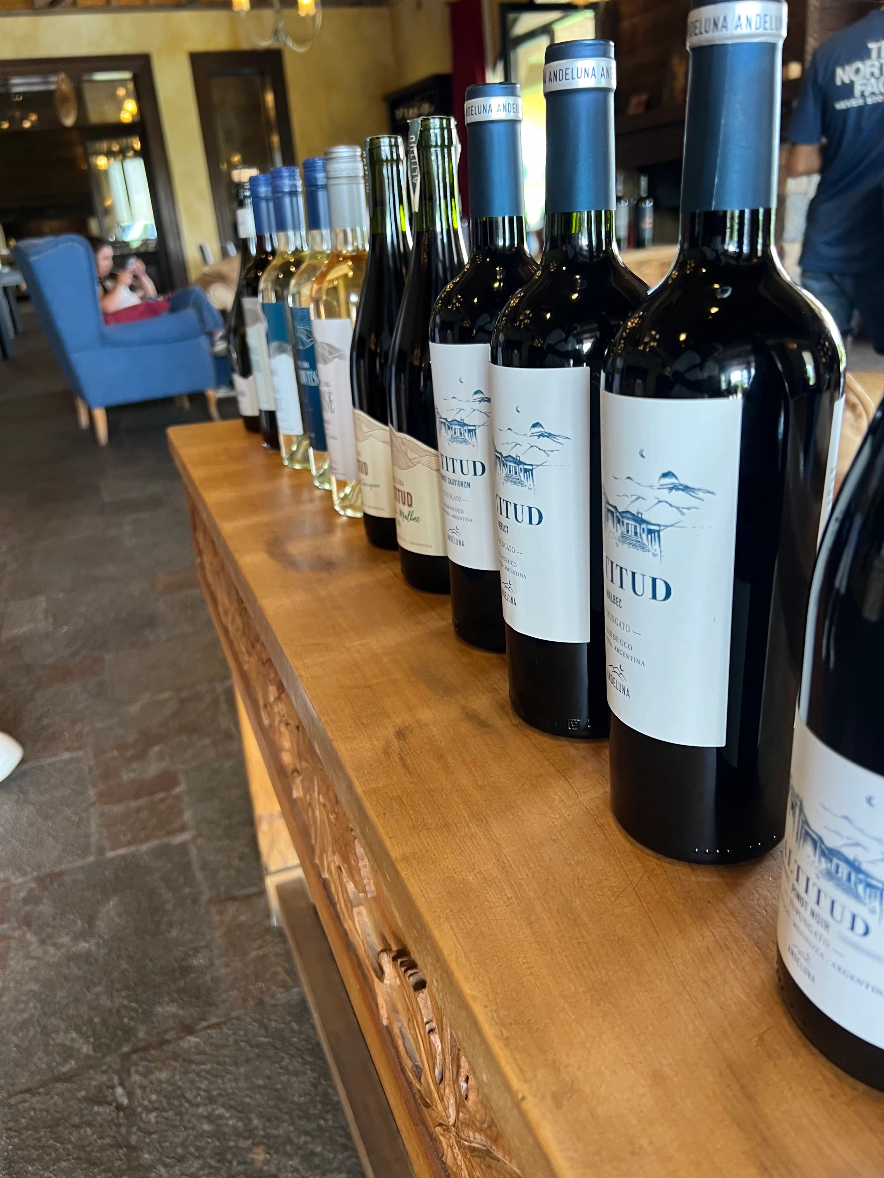 Tour de bodegas media tarde – Maipú - Vista 6