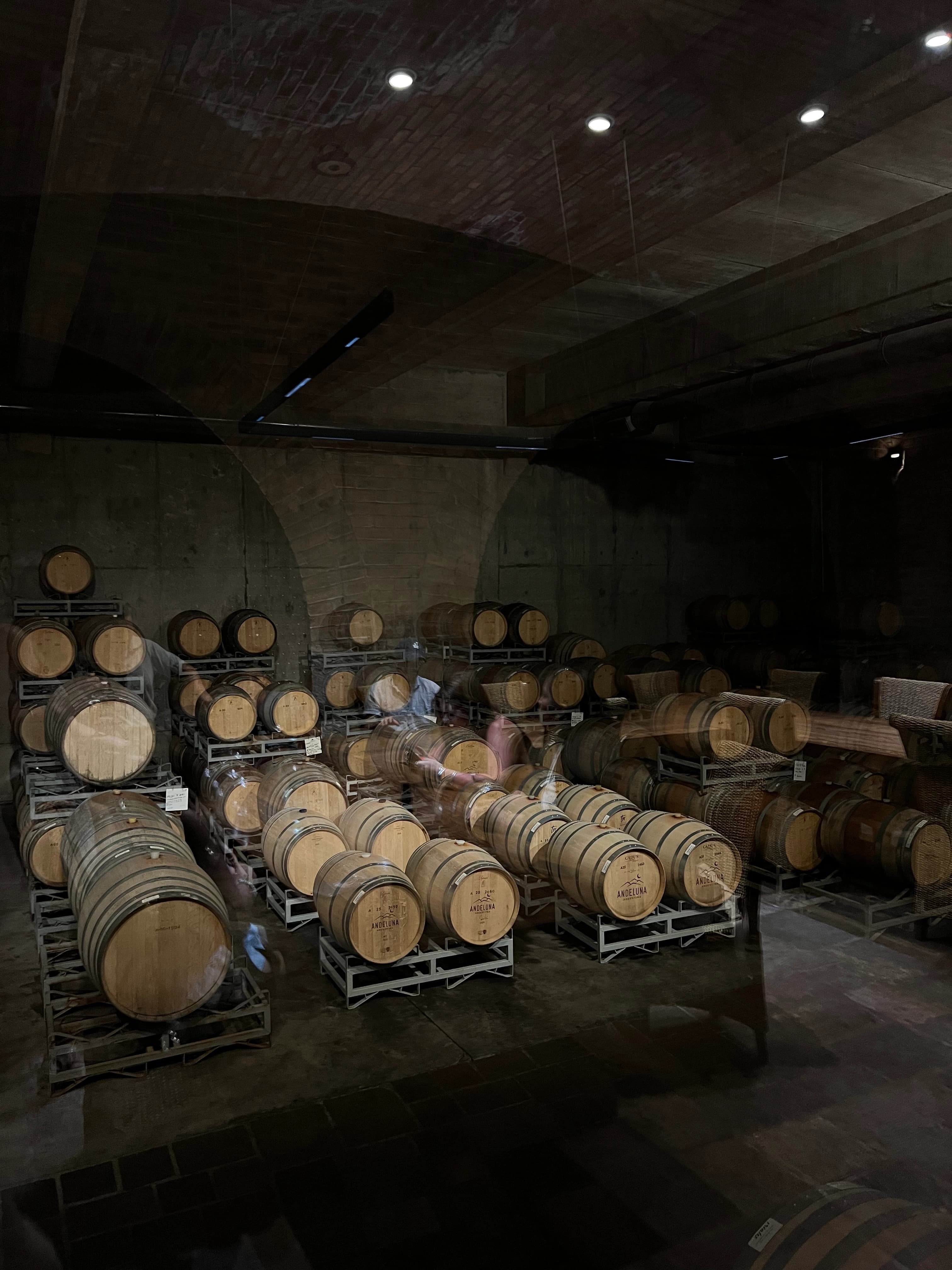 Tour de bodegas media tarde – Maipú - Vista 8