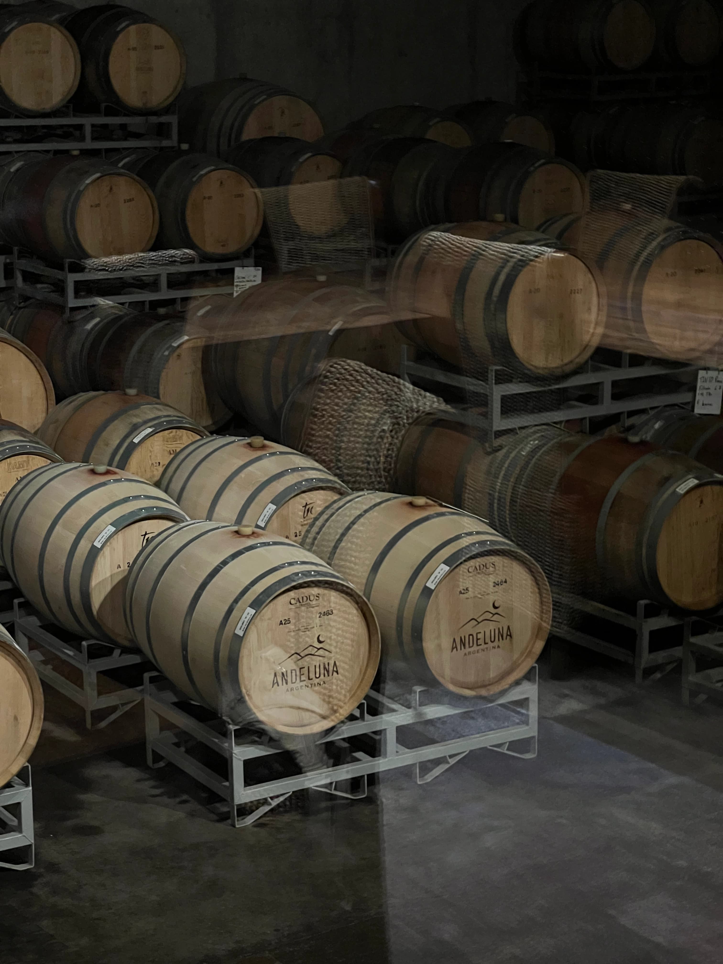 Tour de bodegas media tarde – Maipú - Vista 9