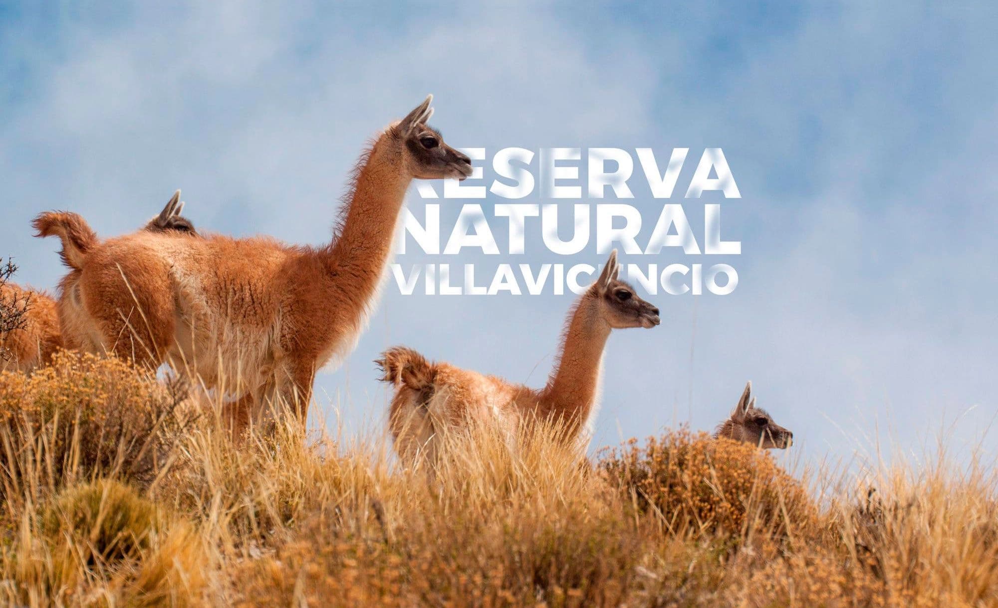Tour Reserva Natural Villavicencio - Vista 4