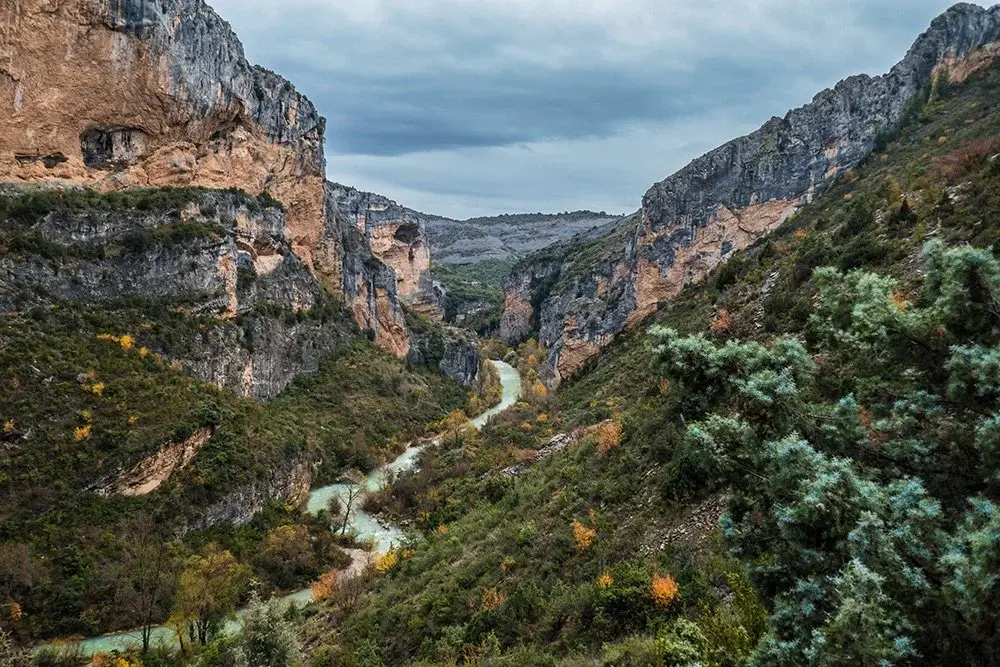 Caminar con calma